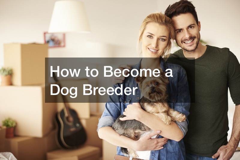 How to become a Dog Breeder