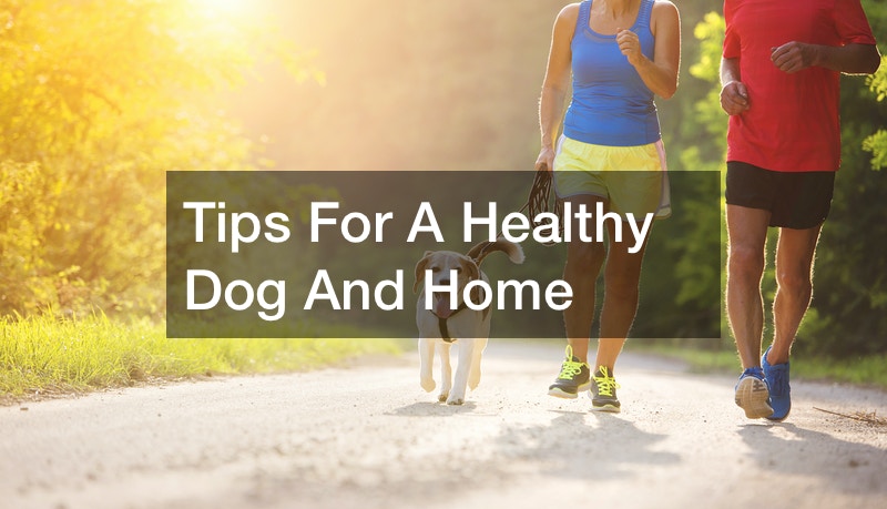 Tips For A Healthy Dog And Home