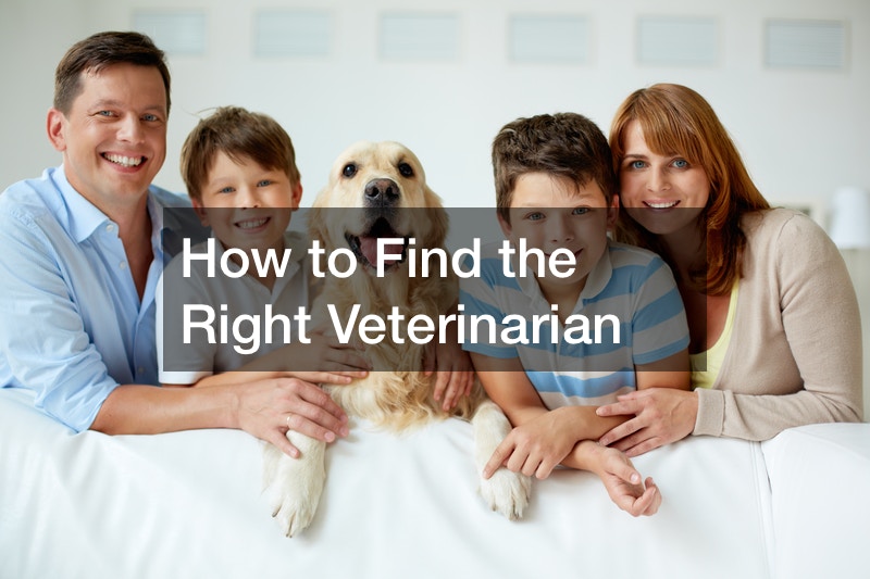 How to Find the Right Veterinarian