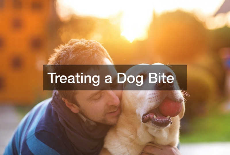 Treating a Dog Bite
