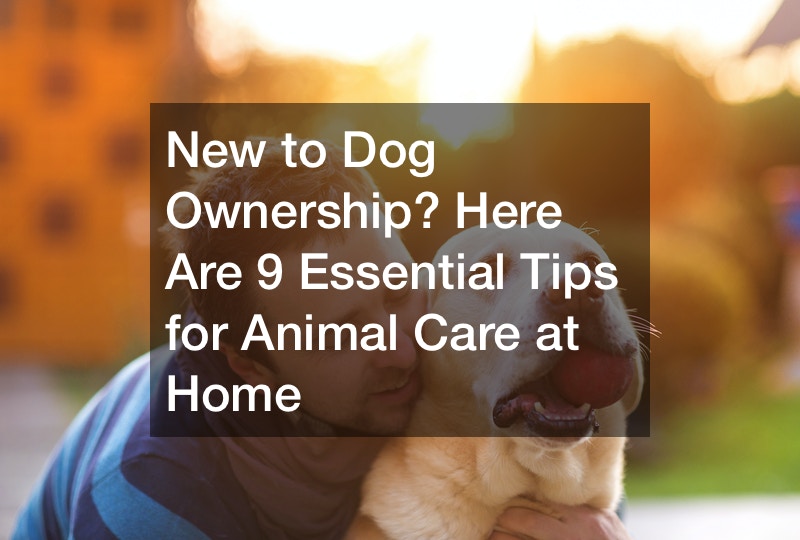 New to Dog Ownership? Here Are 9 Essential Tips for Animal Care at Home