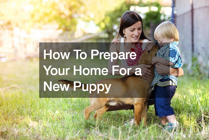 How To Prepare Your Home For a New Puppy