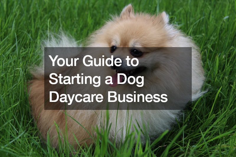 Your Guide to Starting a Dog Daycare Business