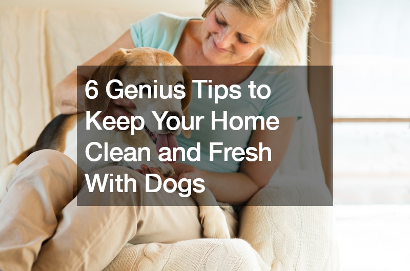 6 Genius Tips to Keep Your Home Clean and Fresh With Dogs