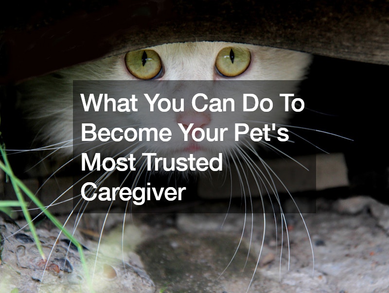 What You Can Do To Become Your Pets Most Trusted Caregiver