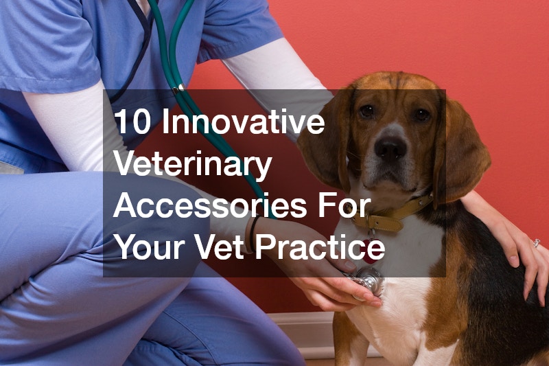 10 Innovative Veterinary Accessories For Your Vet Practice