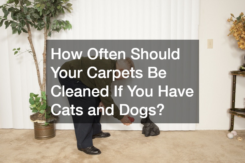 How Often Should Your Carpets Be Cleaned If You Have Cats and Dogs?