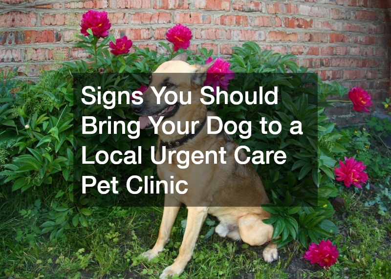 Signs You Should Bring Your Dog to a Local Urgent Care Pet Clinic