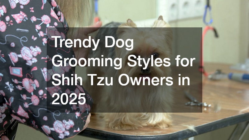 Trendy Dog Grooming Styles for Shih Tzu Owners in 2025