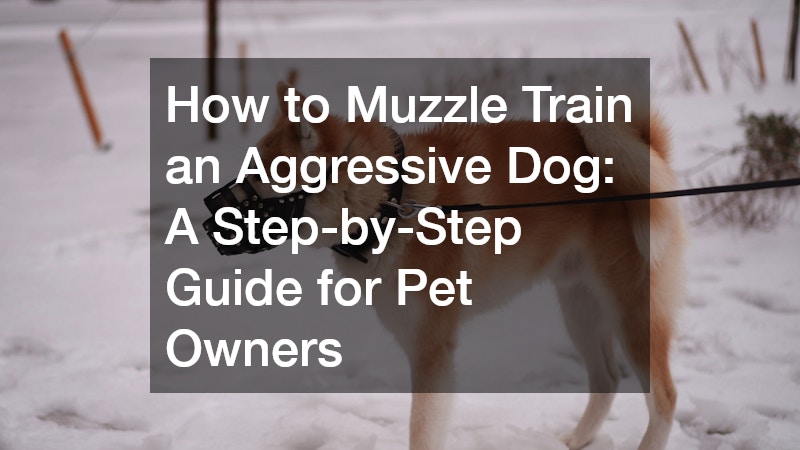 How to Muzzle Train an Aggressive Dog: A Step-by-Step Guide for Pet Owners
