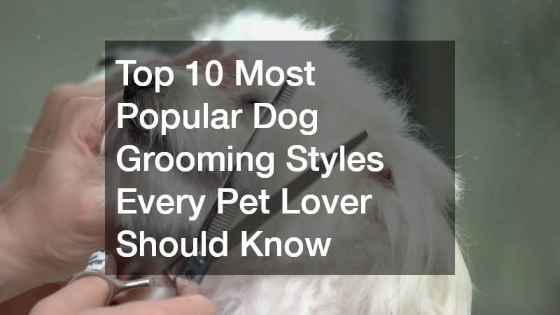 Top 10 Most Popular Dog Grooming Styles Every Pet Lover Should Know