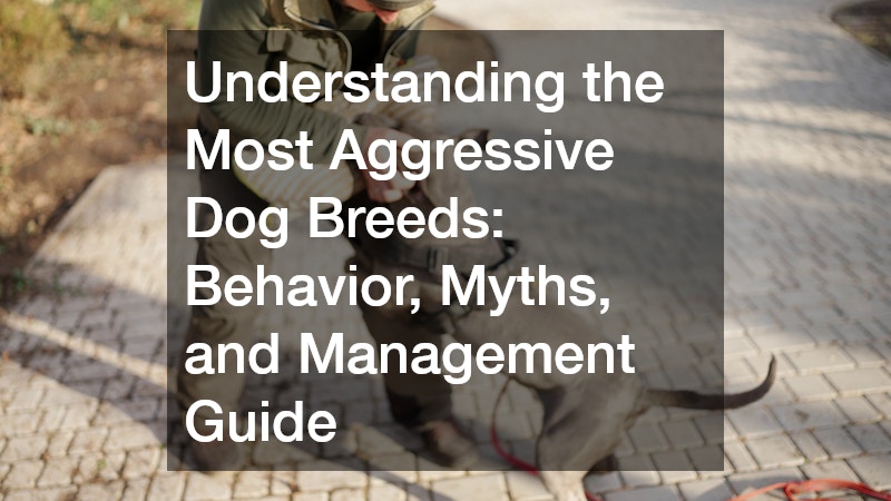 Understanding the Most Aggressive Dog Breeds: Behavior, Myths, and Management Guide