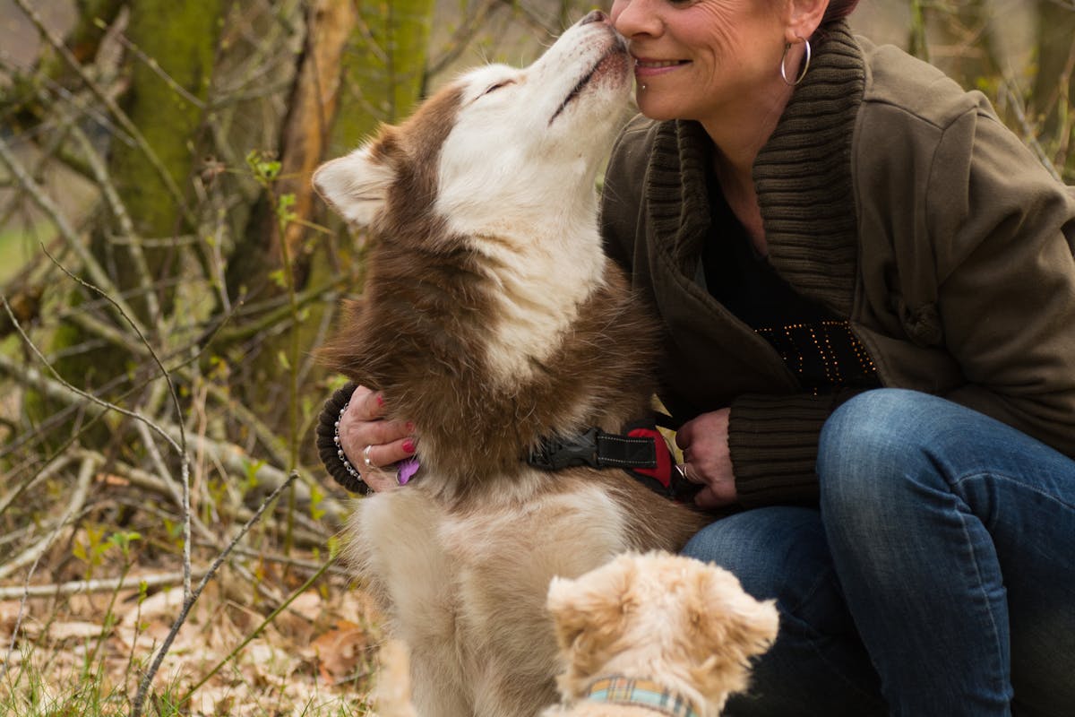 a dog kissing a woman